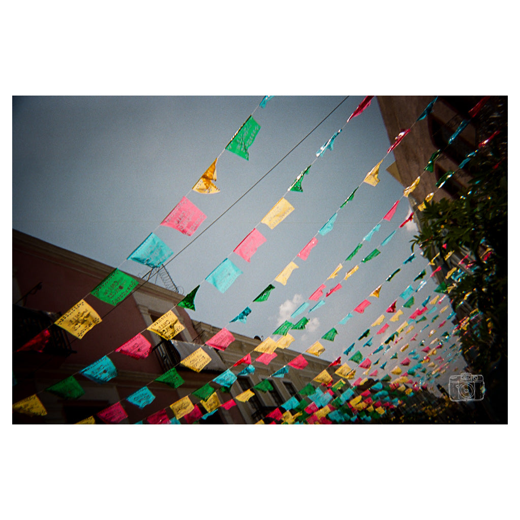Plantilla de impresión fotográfica
