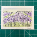 Lavender Fields (Original)