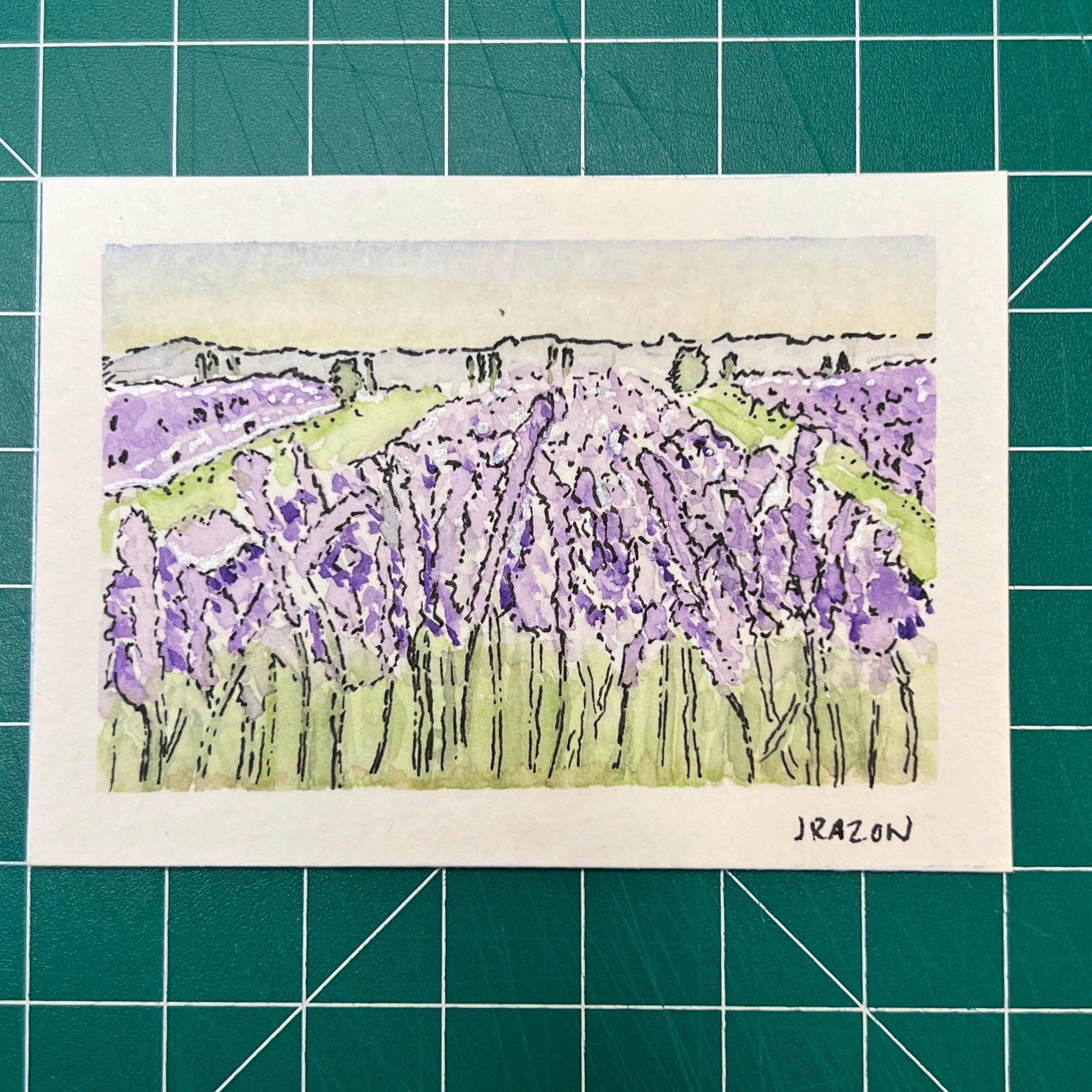 Lavender Fields (Original)