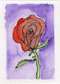 Rose (Print)
