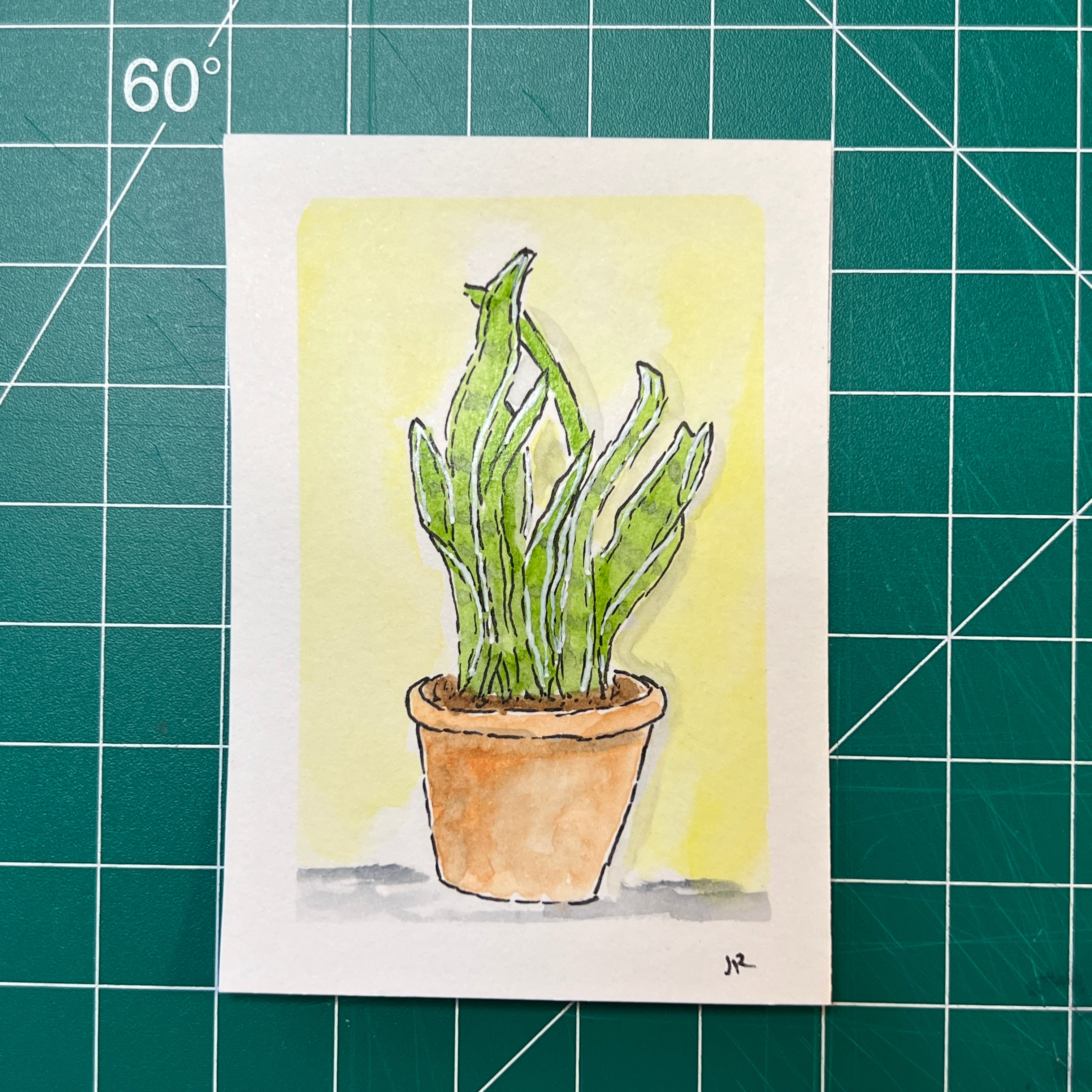 Snake Plant #1 (Original)