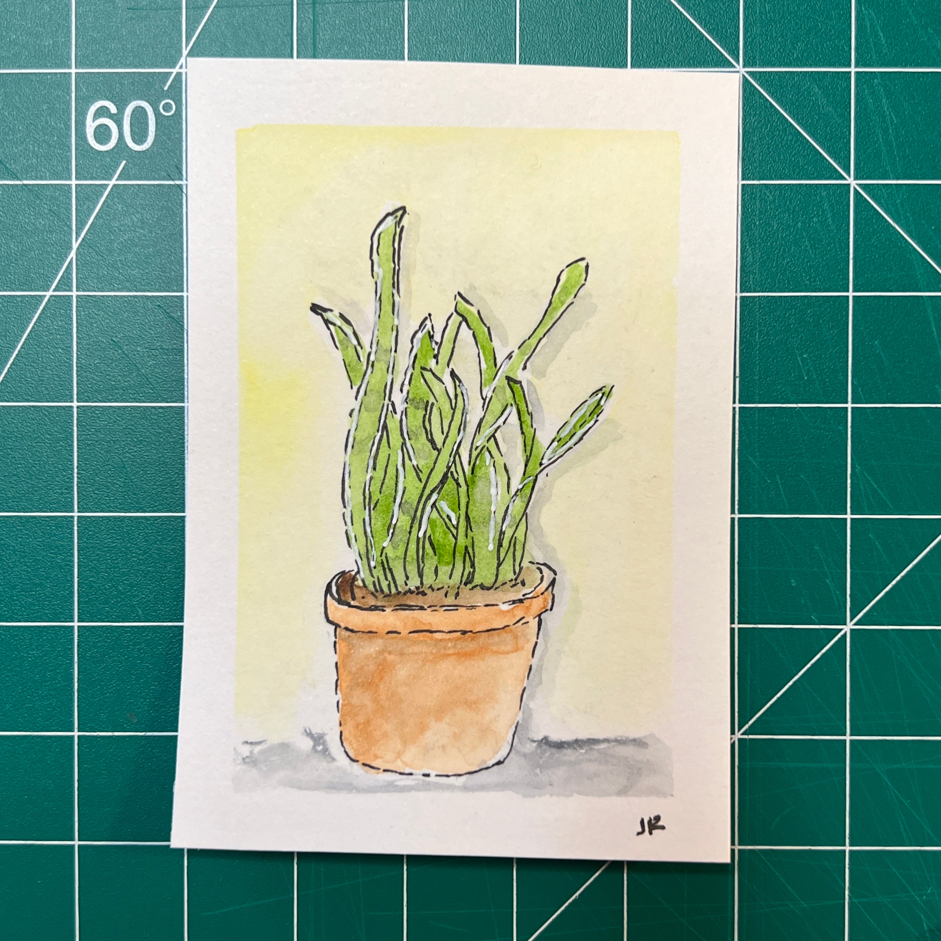 Snake Plant #2 (Original)