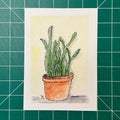 Snake Plant #2 (Print)