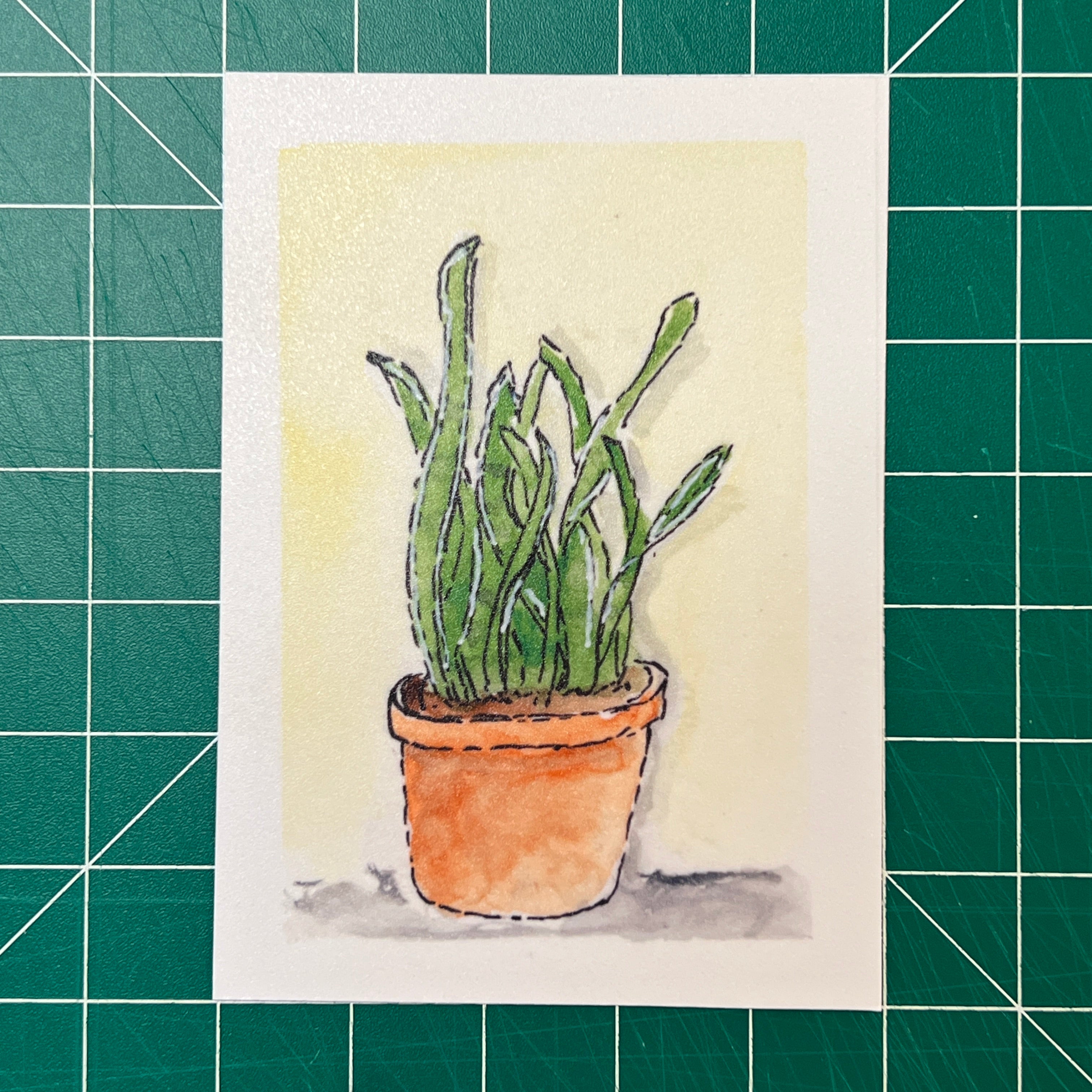 Snake Plant #2 (Print)